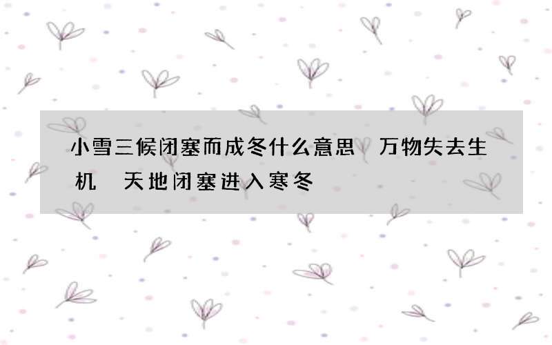 小雪三候闭塞而成冬什么意思 万物失去生机 天地闭塞进入寒冬
